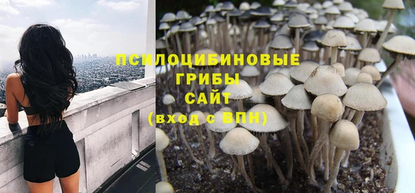 синтетический гашиш Каменногорск