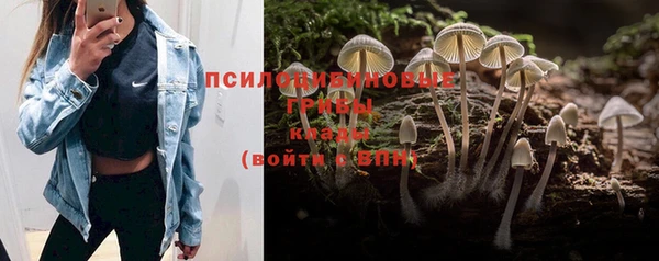 ешки Верхнеуральск